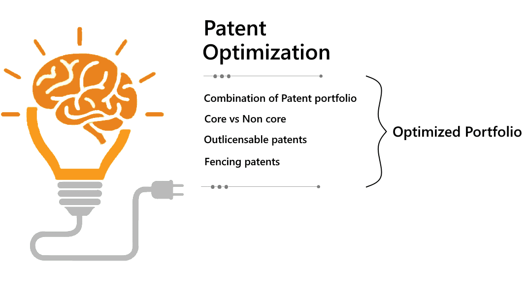 Optimize a Patent Portfolio
