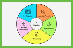 IP Analysis Patseer