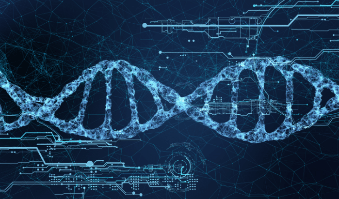 CRISPR Leaders: Analyzing Patenting Trends and Primary Areas of Innovation