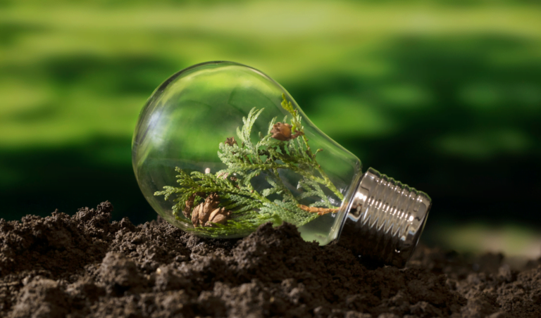 The Intersection of Technology and Sustainability: A Patent Perspective